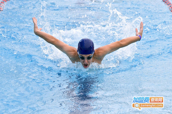 飞鱼游泳培训加盟费