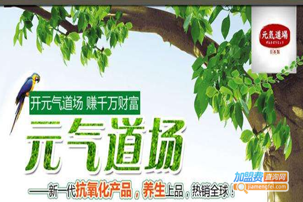 元气道场养生加盟费
