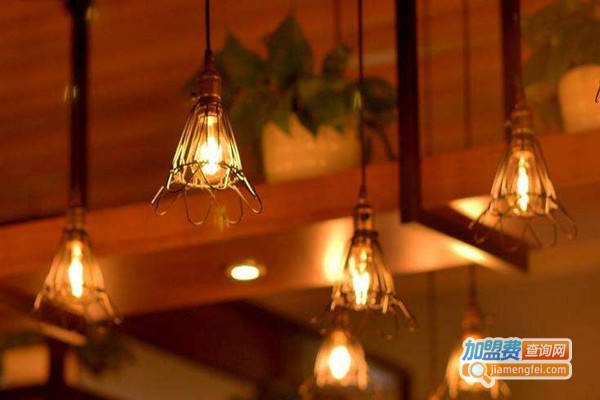 星宇达邦灯饰加盟门店