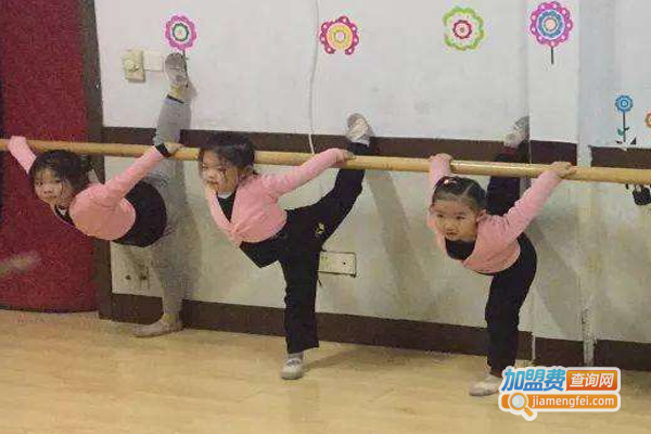 星之海艺术培训中心加盟费