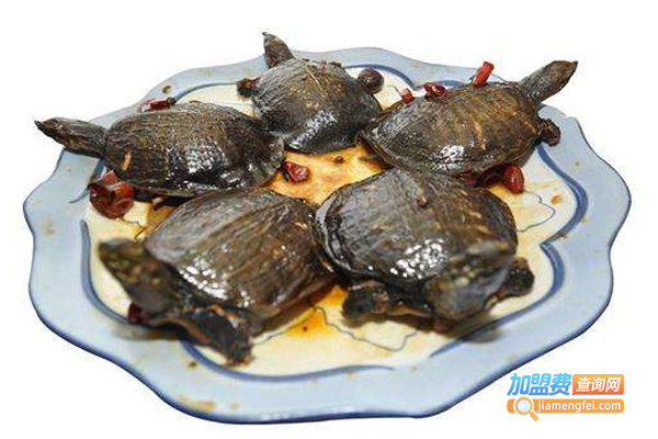 一峰哥小甲鱼加盟费