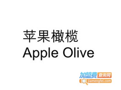 苹果橄榄童装加盟费