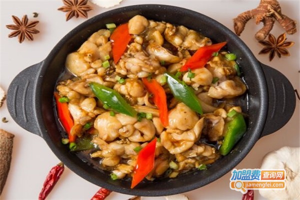 活乐渔迷你养生煲加盟费