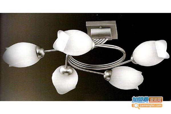 光世界灯饰加盟门店