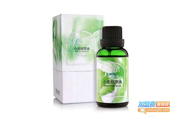 静佳jplus加盟费