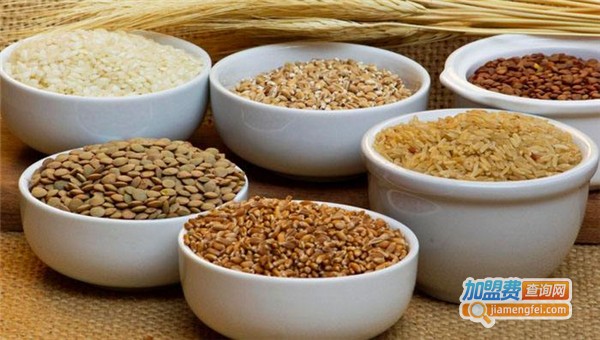 康姿美减肥加盟费