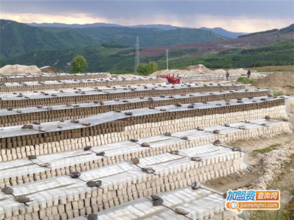 爱尚泥硅藻艺术壁材加盟费