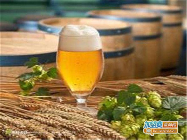 青源啤酒加盟费