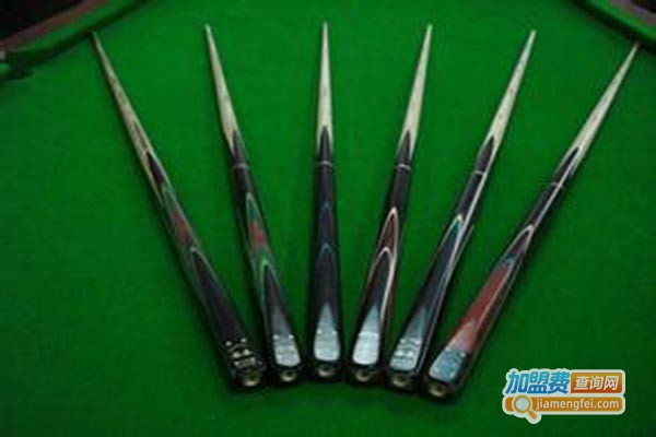 谷泰台球设备加盟门店