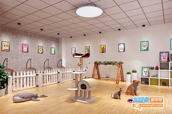 九易宠物加盟门店