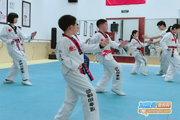 仙峰跆拳道培训加盟费