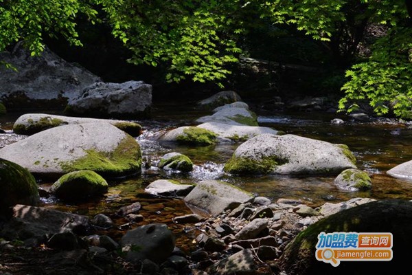 润林山泉加盟门店
