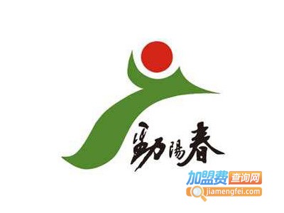 劲阳春酒业加盟费