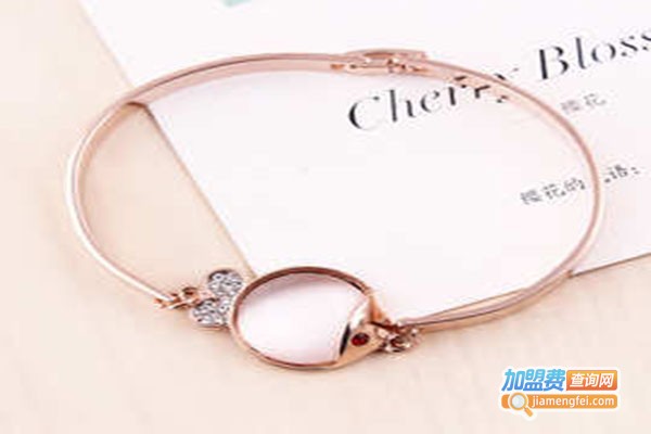 朵莉宝贝饰品加盟门店