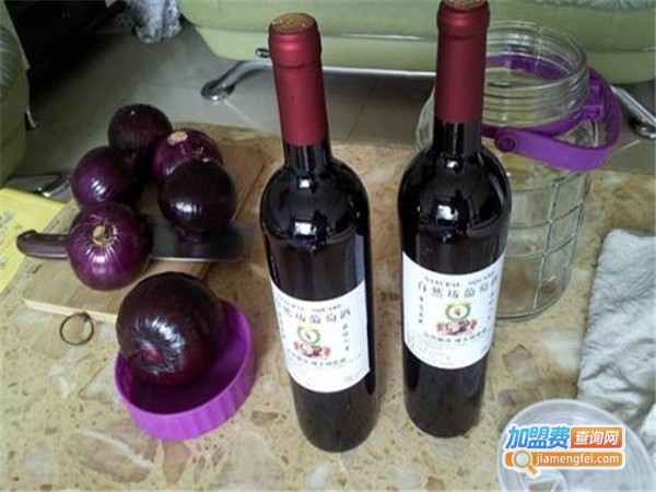 洋葱葡萄酒加盟费