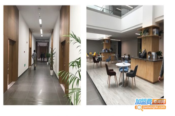 鲁比教育加盟费