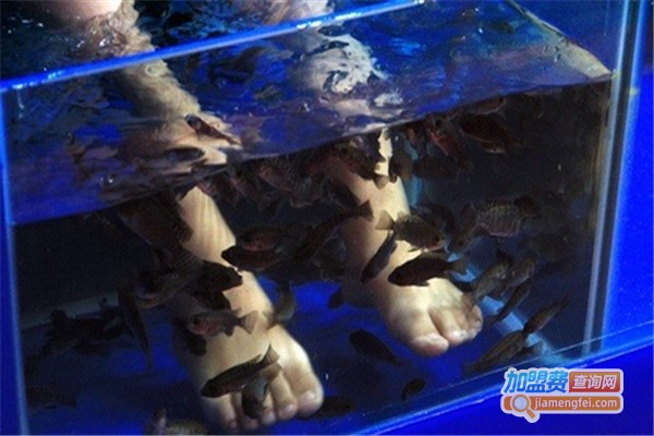 鱼之吻足浴养生馆加盟费