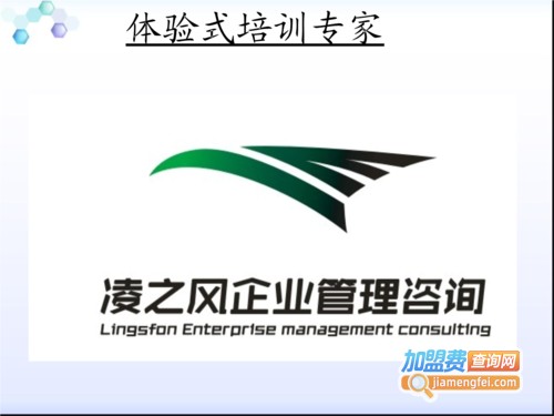 凌之风教育加盟费