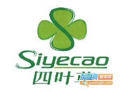 四叶草美容馆加盟费