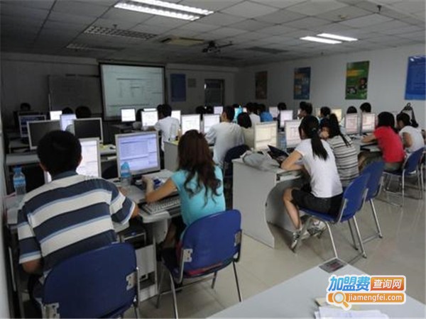 青鸟国际教育加盟门店