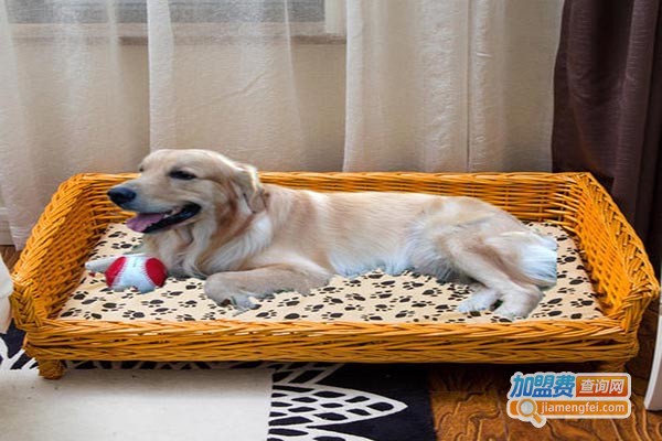 狗狗屋宠物生活馆加盟门店