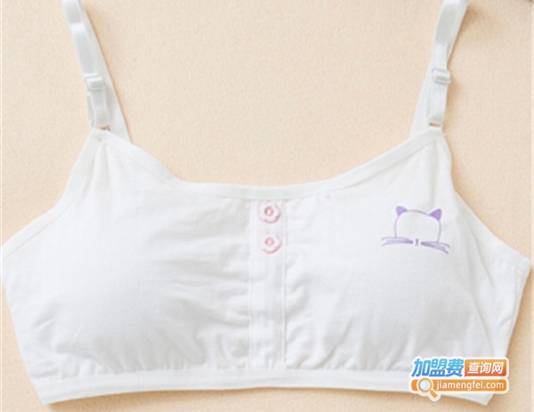 康尔内衣加盟费