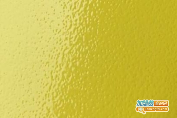 密施特涂料加盟费