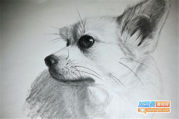 壹典画室加盟费