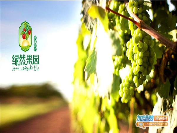 凯业绿然食品加盟费