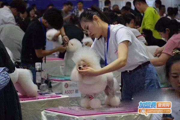宠物美容培训学校加盟门店