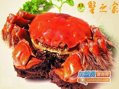 蟹之家加盟费