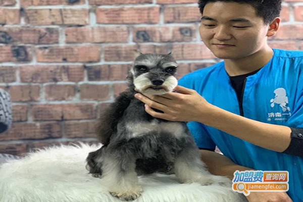 宠物美容培训学校加盟门店