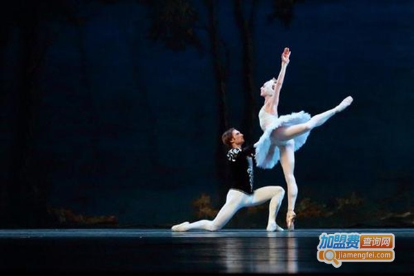 金芭蕾少儿舞蹈加盟