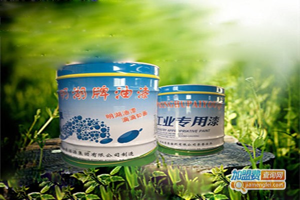 明湖涂料