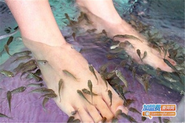 鱼之吻足浴养生馆加盟费