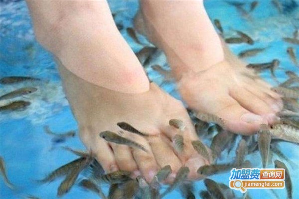 鱼之吻足浴养生馆加盟费