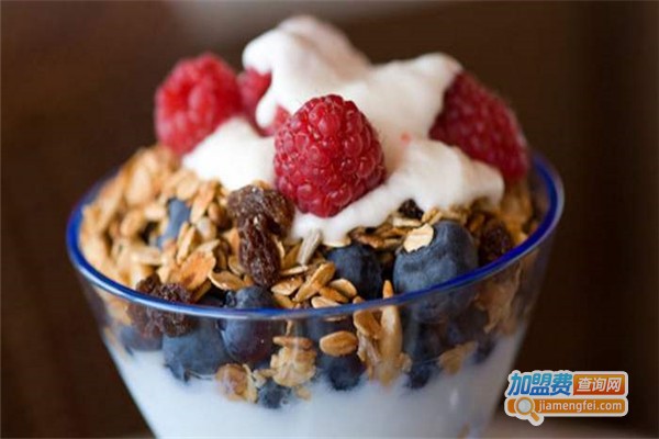 优格尔冻酸奶加盟