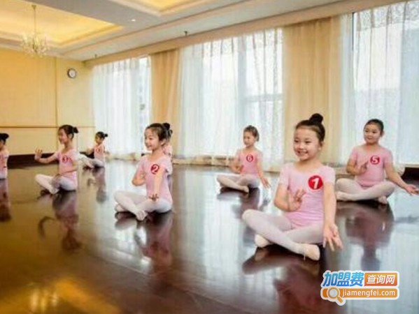 忆舞艺术培训加盟费