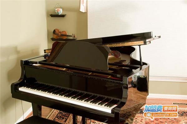 疯狂钢琴加盟费