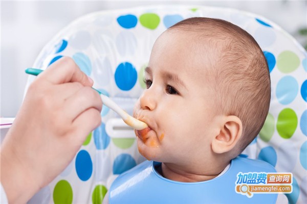 贝因美米粉加盟费