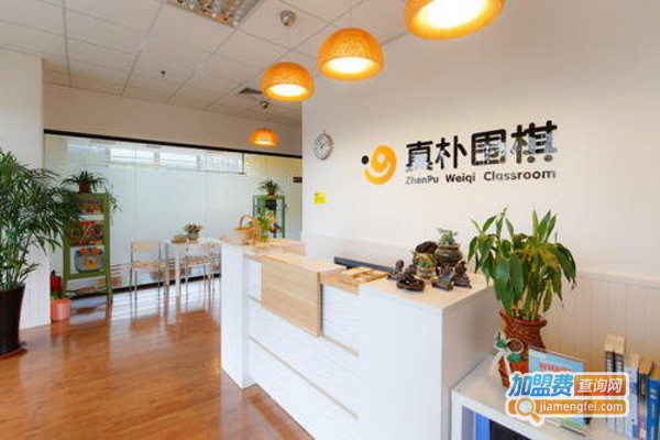 真朴围棋加盟费