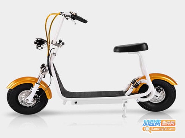 龙族星电动车加盟费