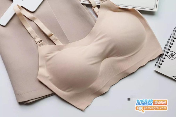 美丽干线内衣加盟费