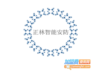 正林智能安防加盟费