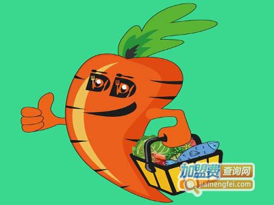 菜哆哆加盟费
