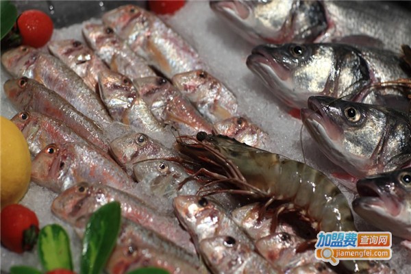 海鲜之家加盟费