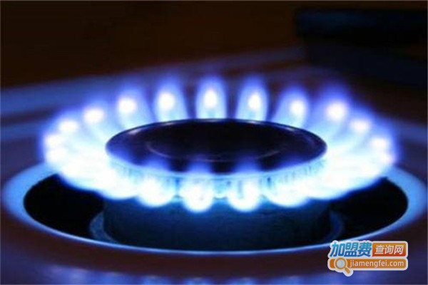 新型环保燃料加盟