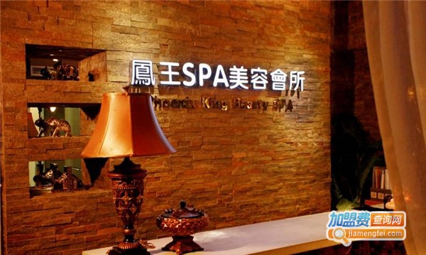凤王美容女子spa生活馆加盟