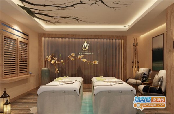 凤王美容女子spa生活馆加盟