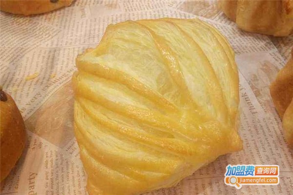 迪莉娅DELIA加盟费